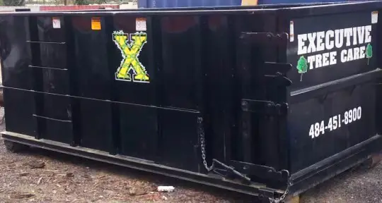dumpster rental