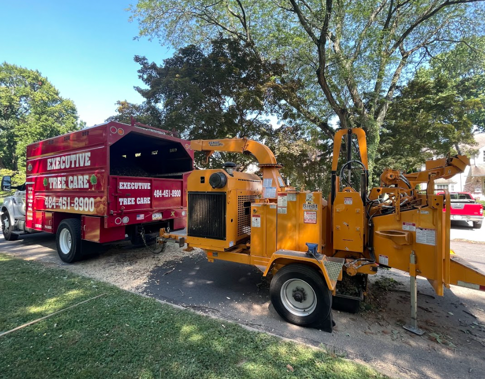 West Chester PA Tree Service
