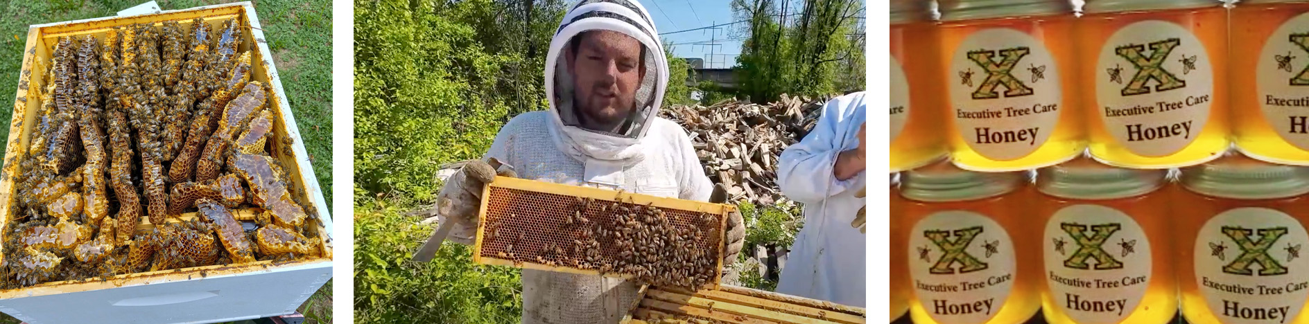 Local Honey in Delaware County