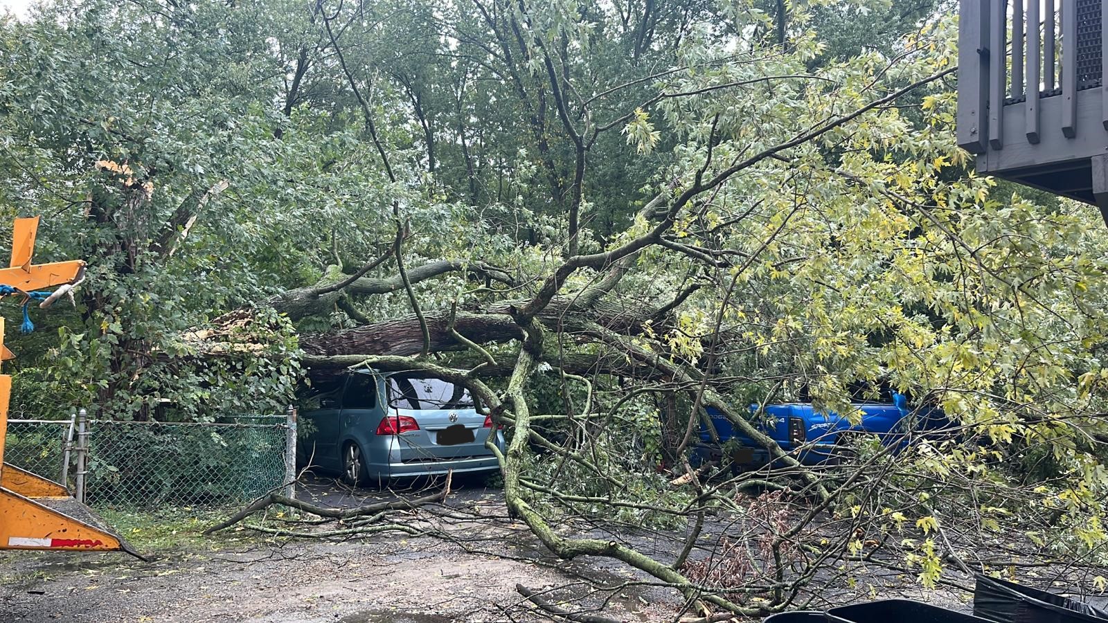 Tree Damage Delaware County Emergency