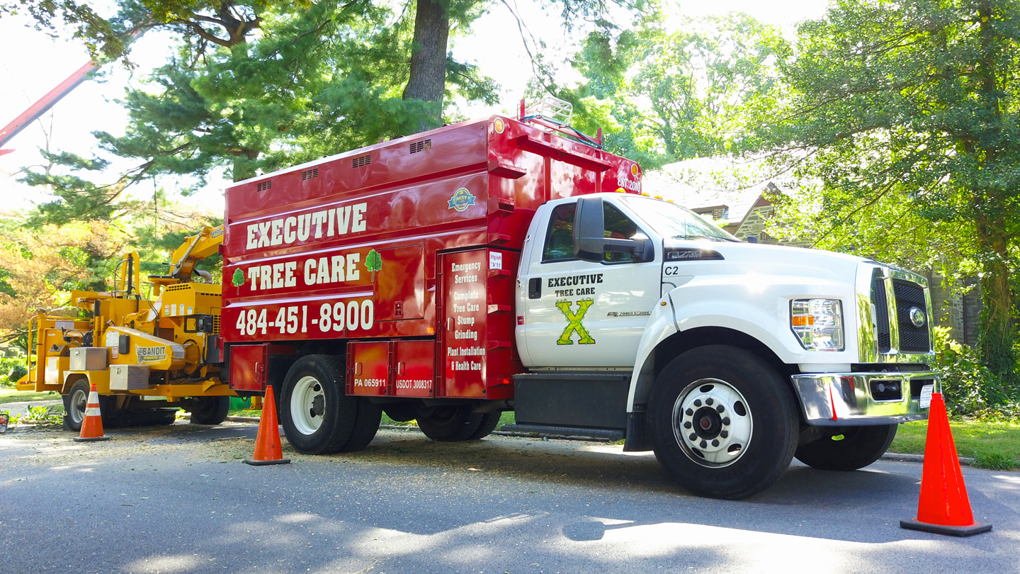 Executive Tree Care in King of Prussia